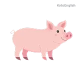 Pig Definition 1