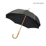 Umbrella Definition 1