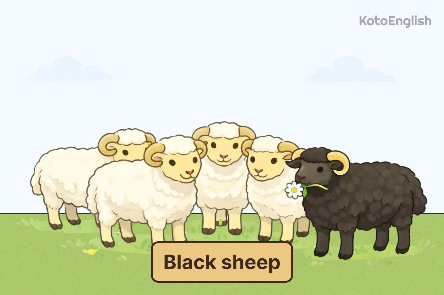 Black sheep