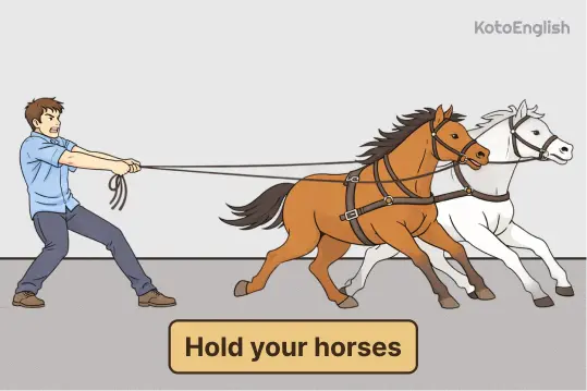 Hold your horses 1