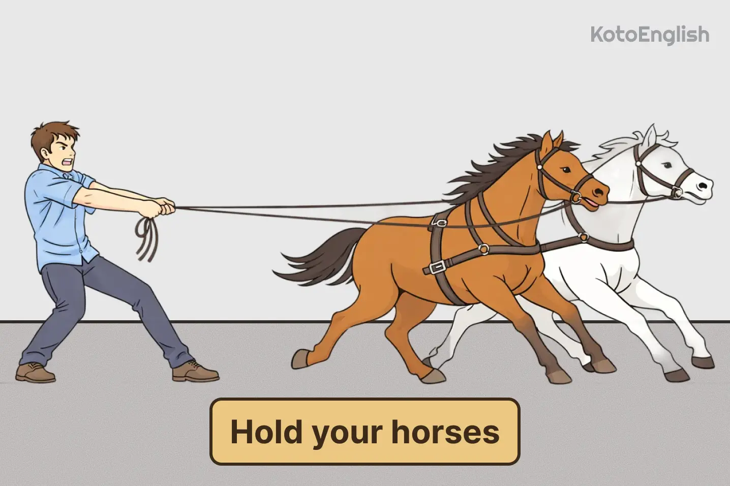 Hold your horses