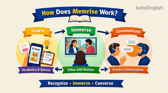 how does memrise work 1