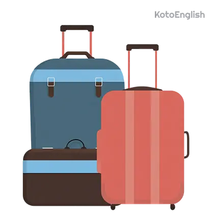 luggage definition